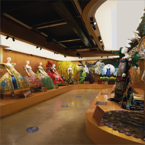 Museo del Carnaval y Lideres de la tradición - Image 5