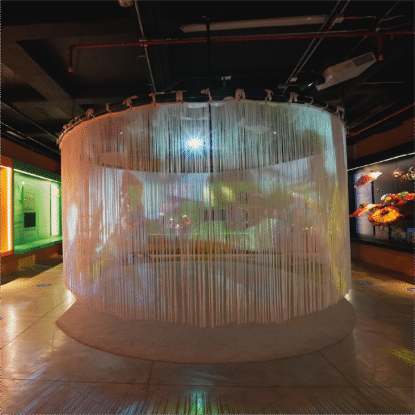 Museo del Carnaval y Lideres de la tradición - Image 4